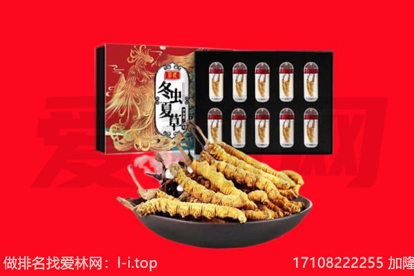 防城港市回收虫草.jpg
